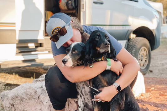The Best Camper Van for Dogs