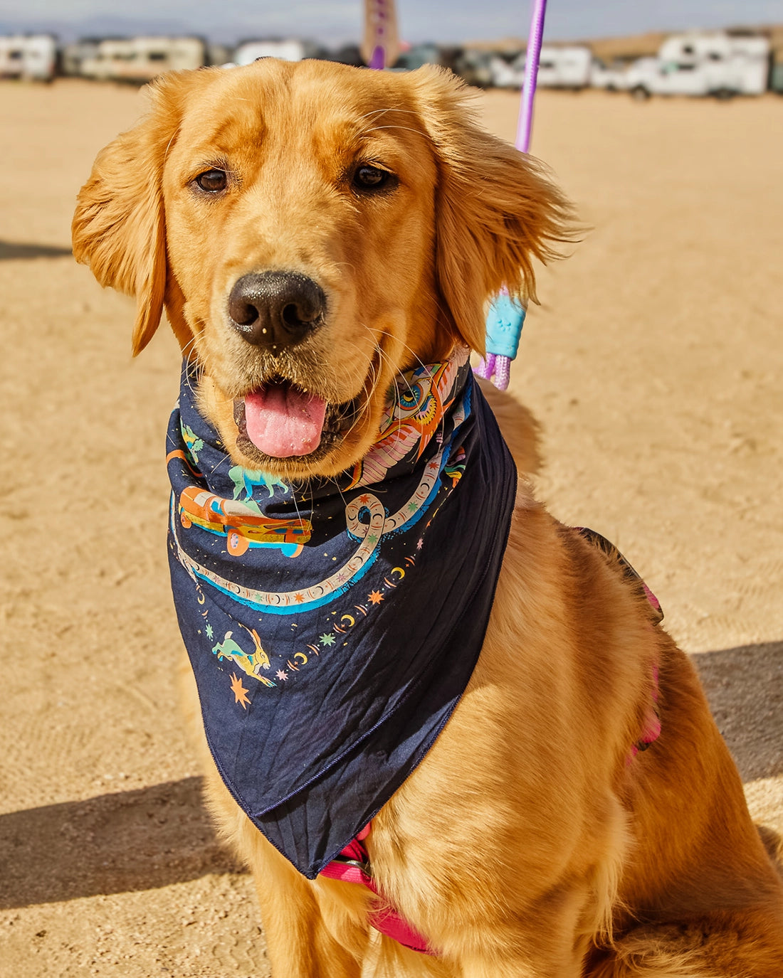 STO Fest Bandana