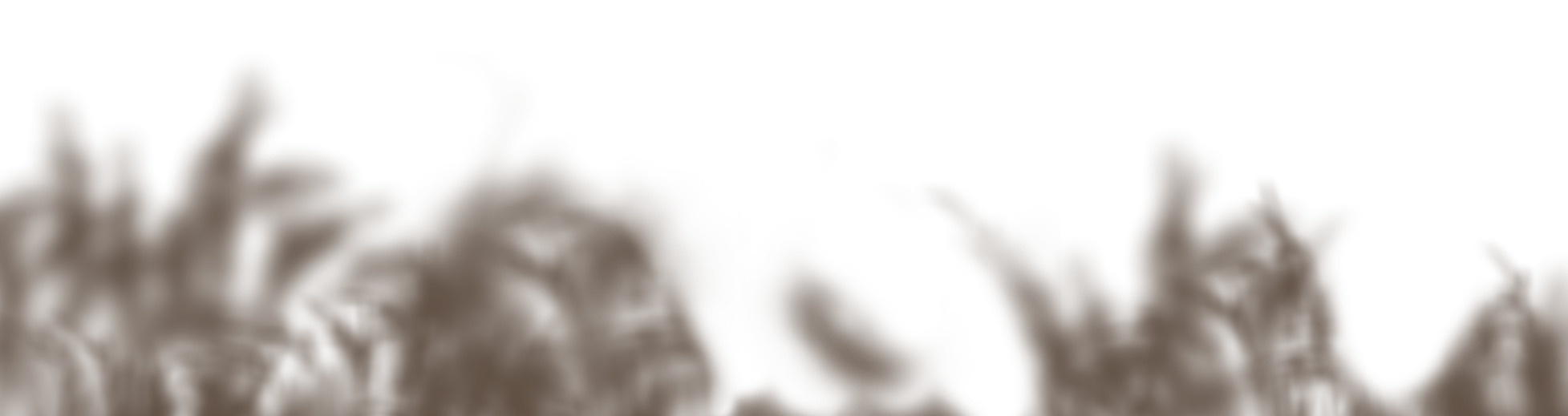 Rocks