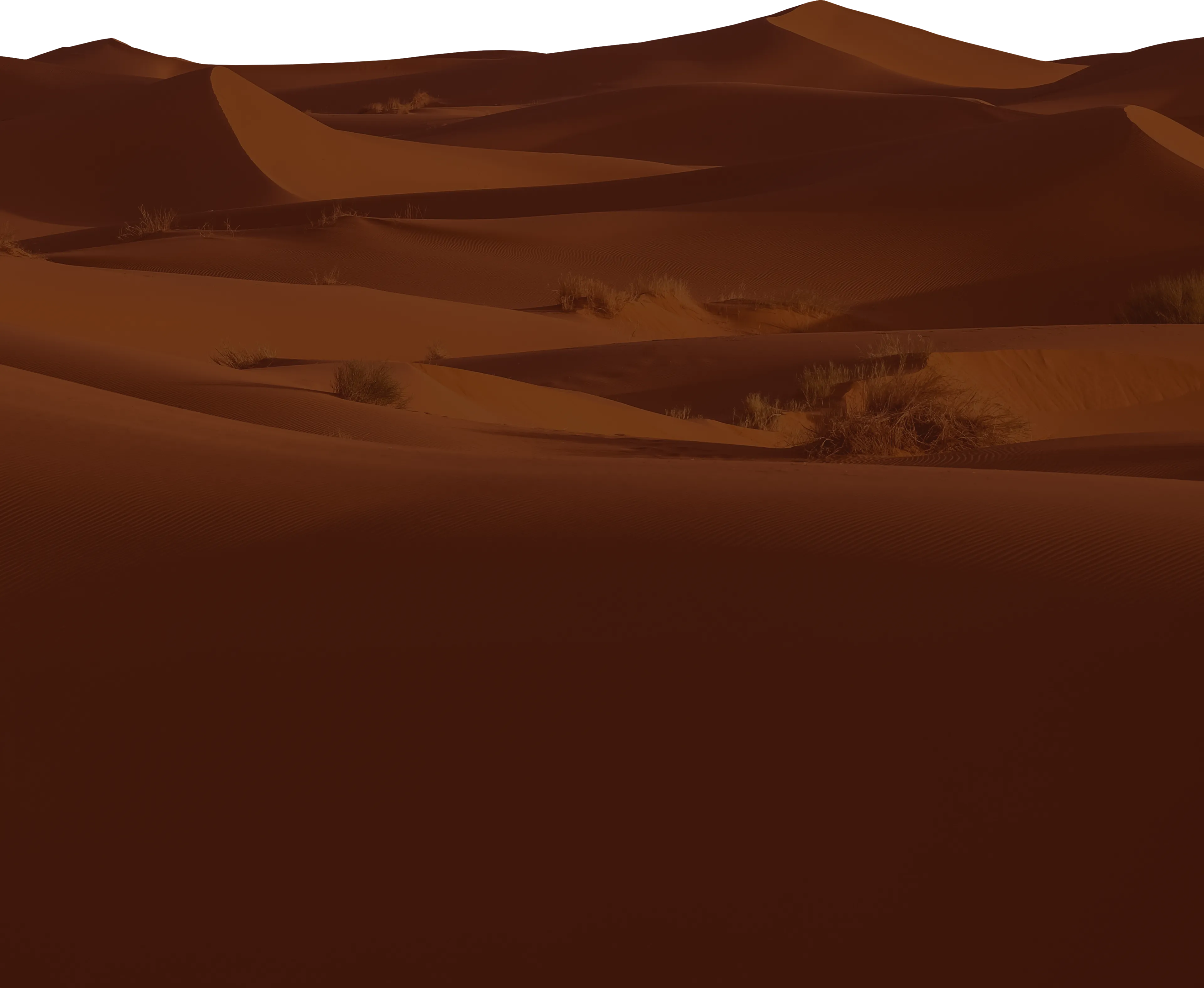 2026 Storyteller Overland GXV WILD photo 8